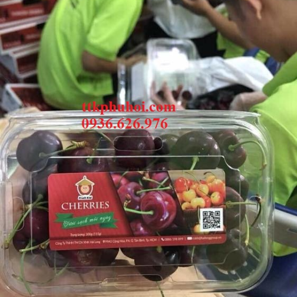 HỘP NHỰA ĐỰNG TRÁI CÂY P350A